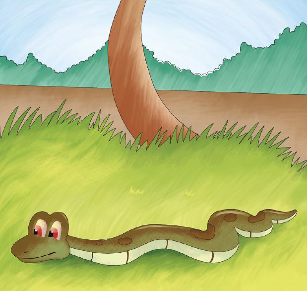 do-you-wonder-how-snakes-slither-story-6