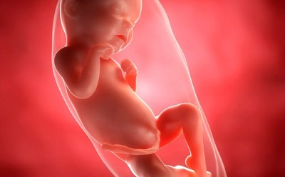 هفته سی و یکم بارداری – کاهش حرکات جنین