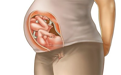 هفته سی و هفتم بارداری – جنین آماده‌ی تولد است