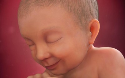 هفته سی و هشتم بارداری – تکامل حنجره‌ی جنین
