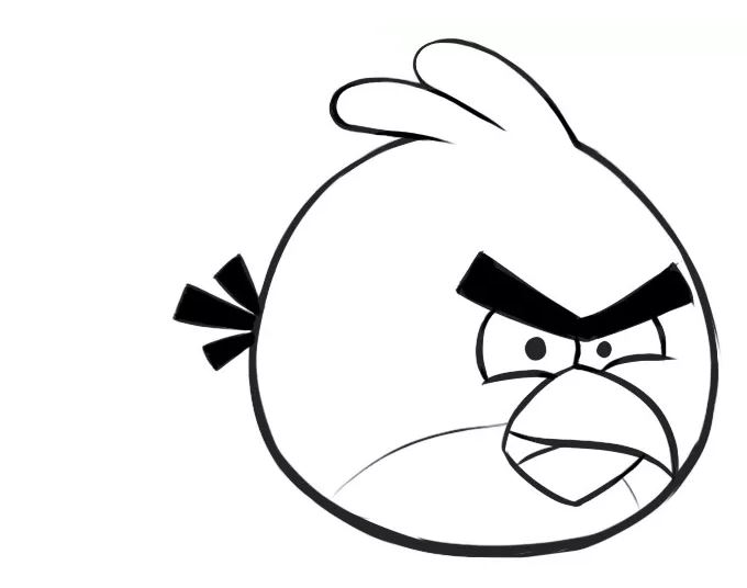 angry-bird-drawing-8