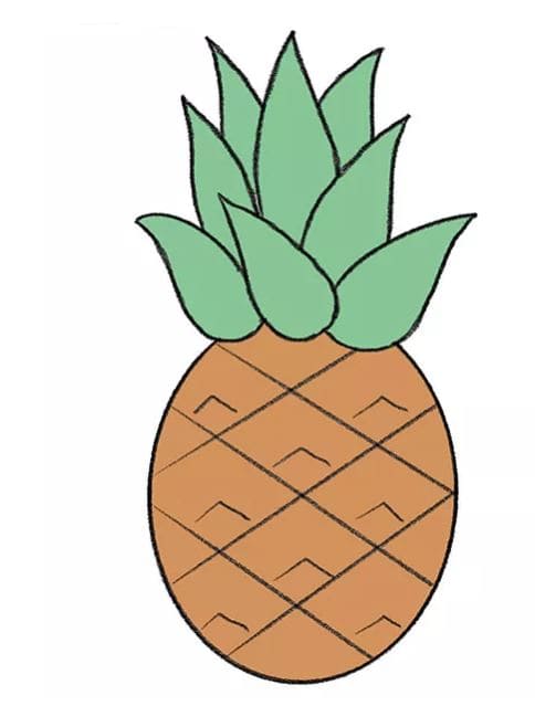 pineapple-drawing-10
