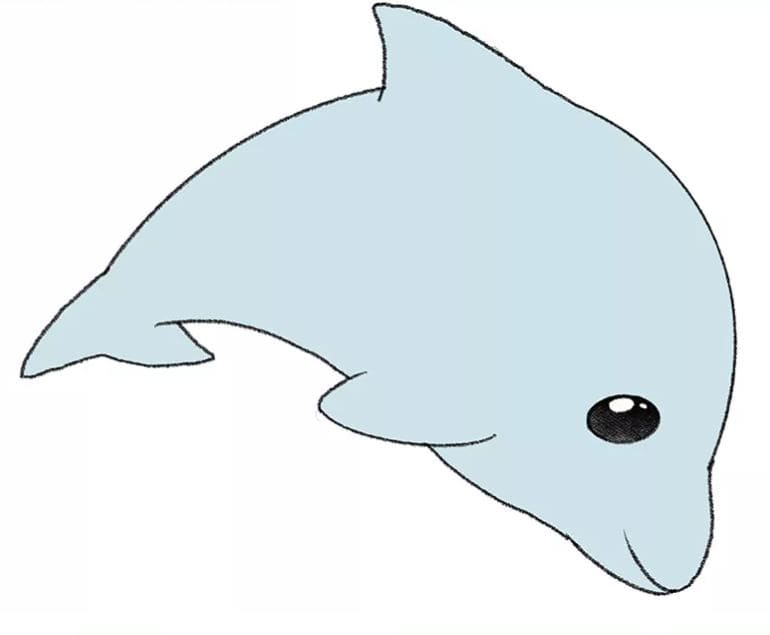 dolphin-drawing-10