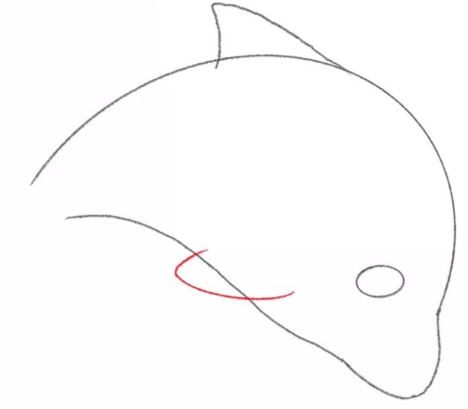 dolphin-drawing-6