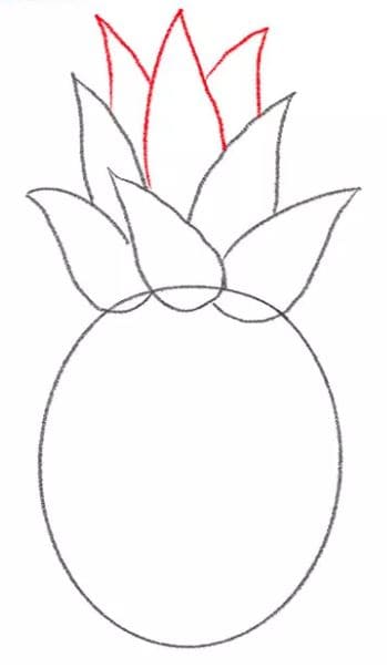 pineapple-drawing-6