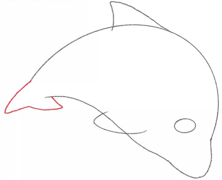 dolphin-drawing-7