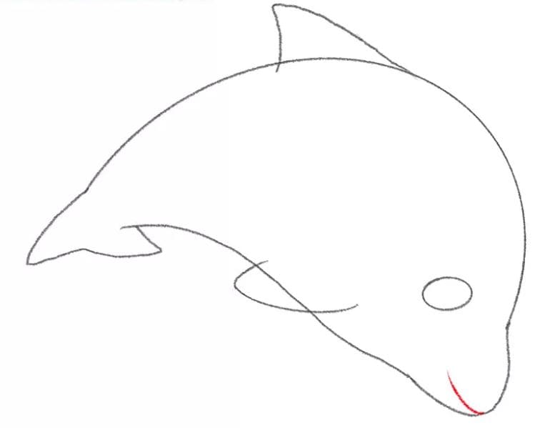 dolphin-drawing-8
