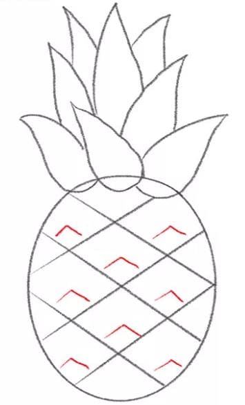 pineapple-drawing-9