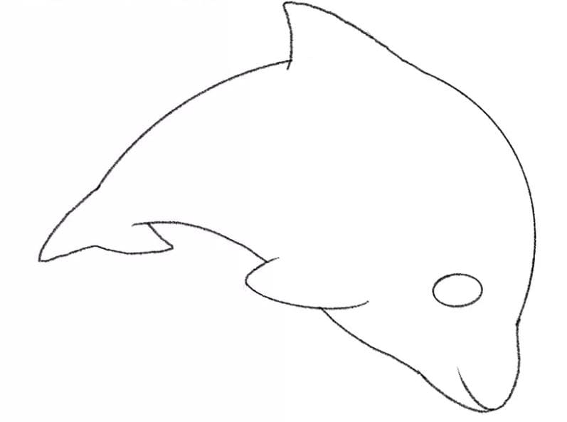 dolphin-drawing-9