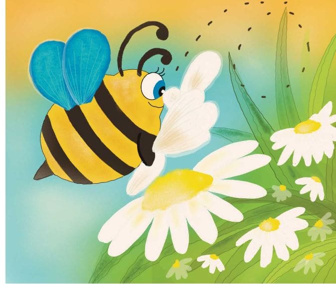 قصه کودکانه کوتاه تصویری زنبور و گل رز