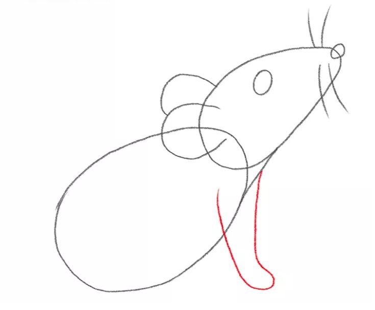 mouse-drawing-6