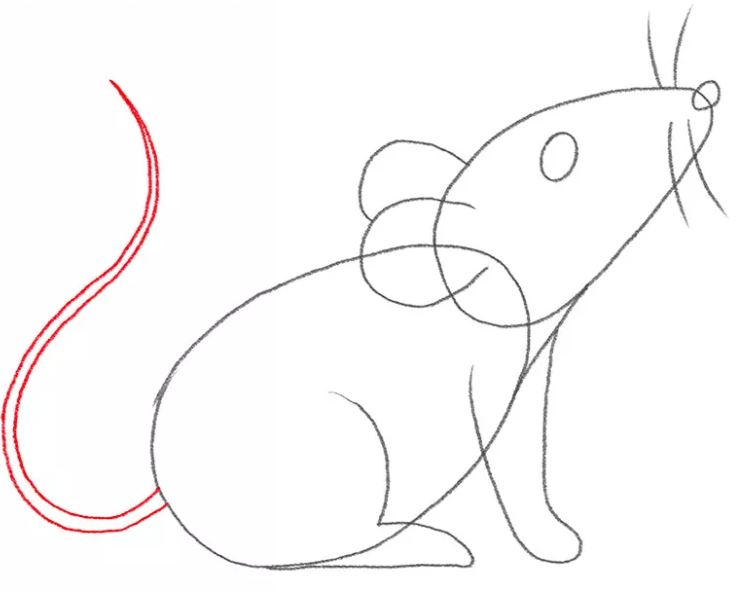 mouse-drawing-8