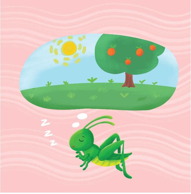 a-grasshopper-in-my-bedroom-story-9