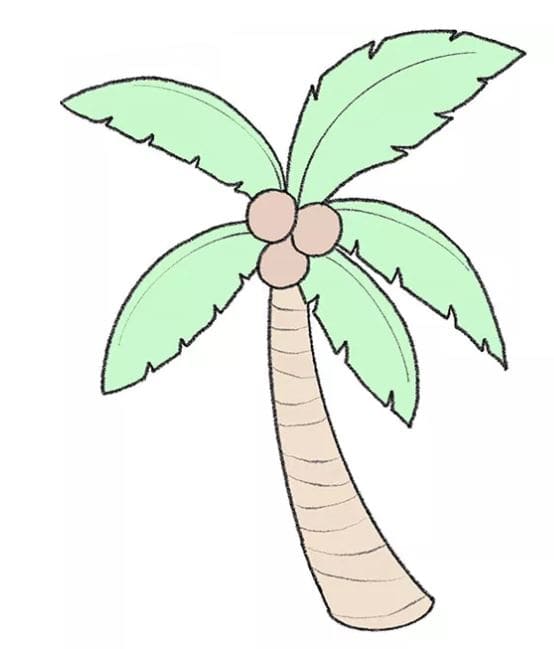 coconut-tree-drawing-8